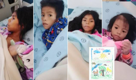 رسمة كلب سر العثور على الأطفال الأربعة في غابات الأمازون